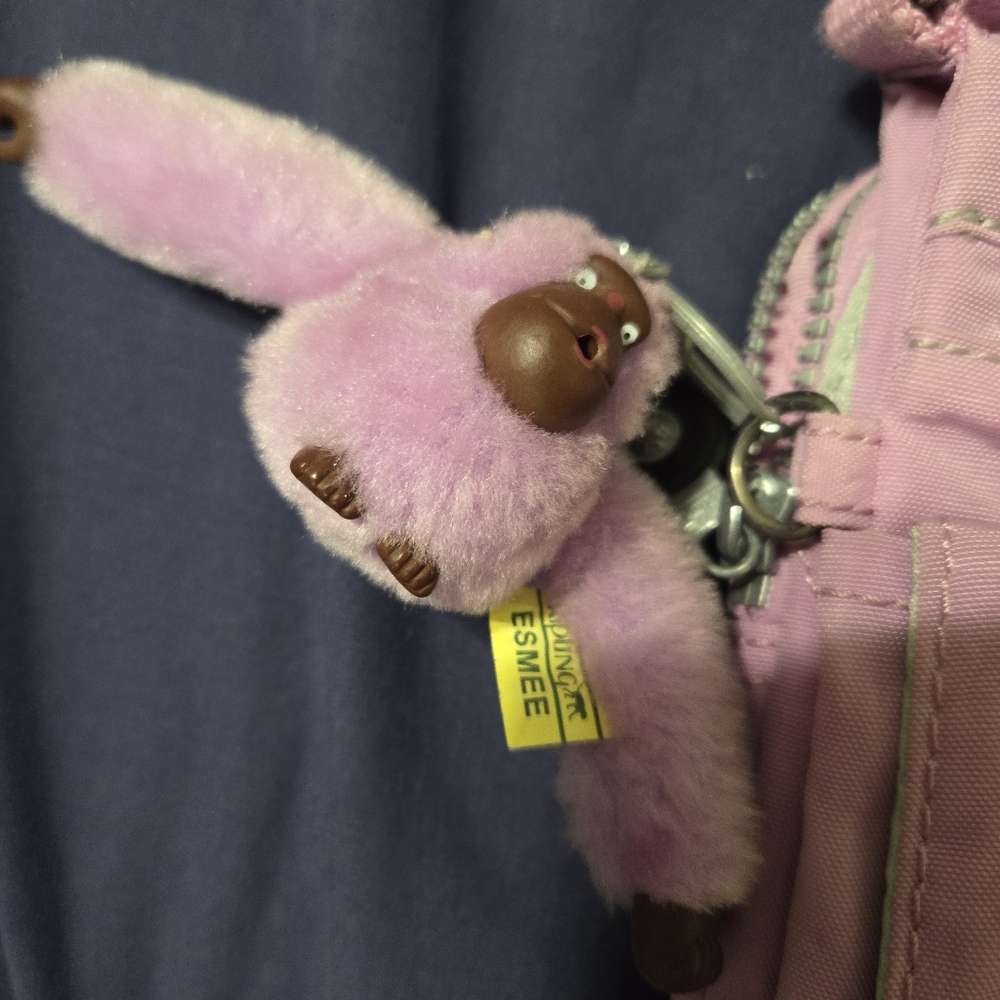 Kipling Light Pink Canvas Crossbody Bag With Pink And Brown Monkey Keychain - Picture 3 of 5